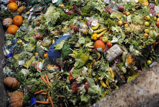 contaminación ambiental por desechos alimenticios