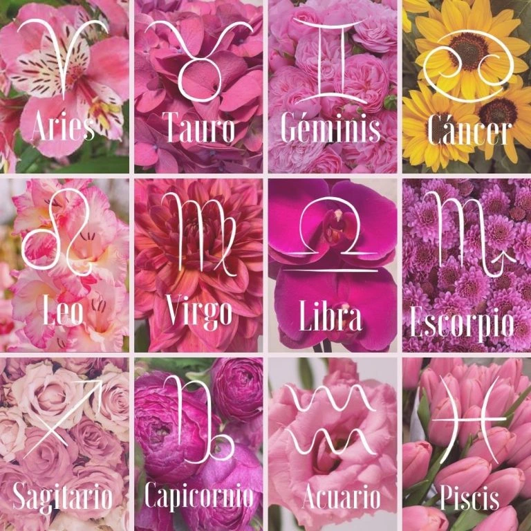 flores asociadas a los signos del zodiaco