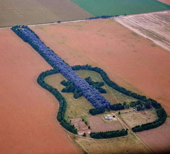 La guitarra de árboles