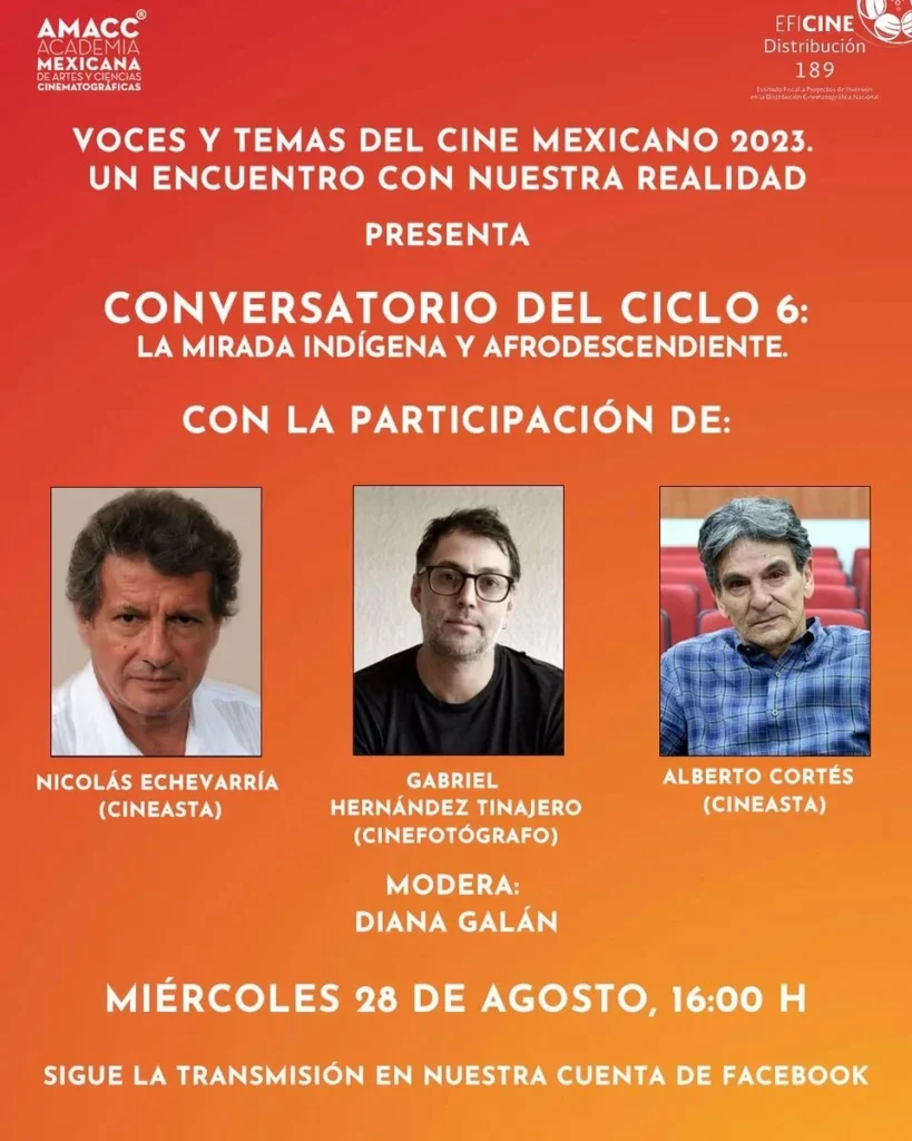 acusación al IMCINE de racismo sistemático