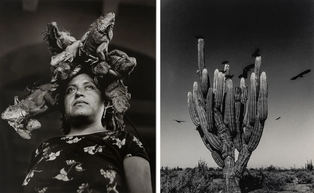 Graciela Iturbide fotógrafa 