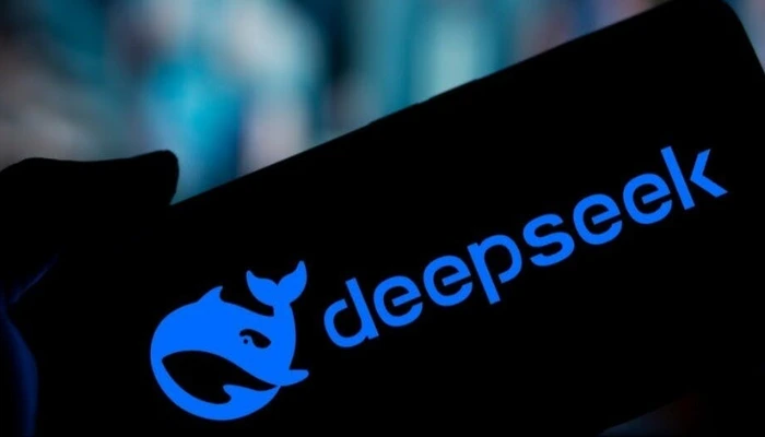 DeepSeek 