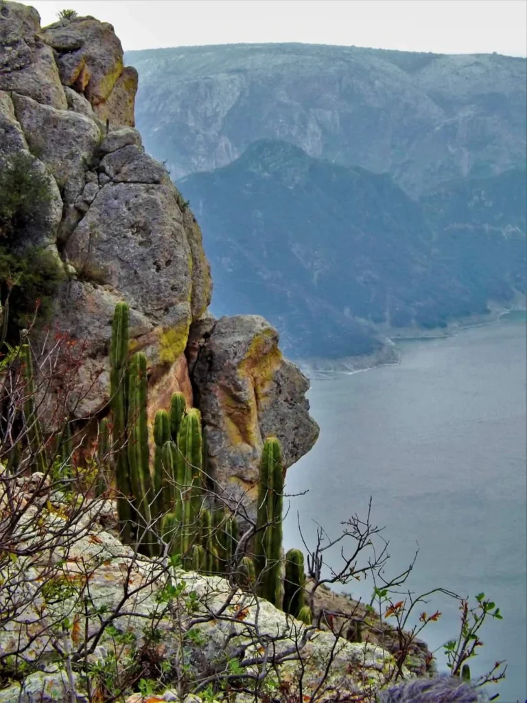 presas cercanas a la CDMX