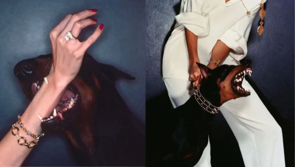 Fetching-is-your-dior