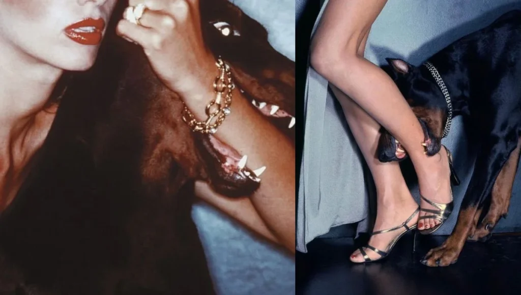 "Fetching is Your Dior"