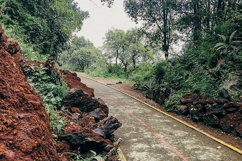 destinos de agroturismo en CDMX