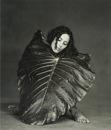 representantes de la fotografía mexicana