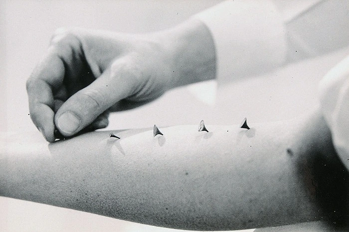 artistas agredidas en performances